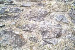 rockfield 1152.JPG